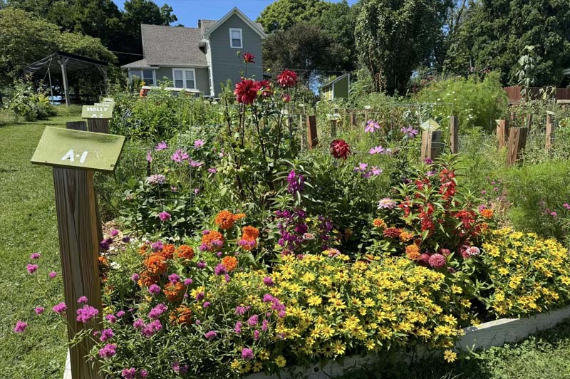 Cutting Garden 2408
