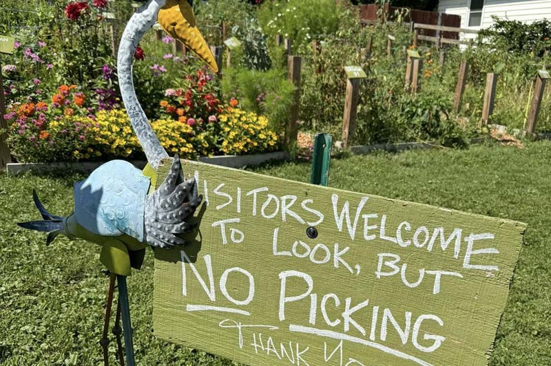 No Picking Please